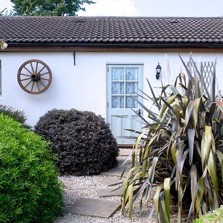 Ashton Cottages 체다 외부 사진